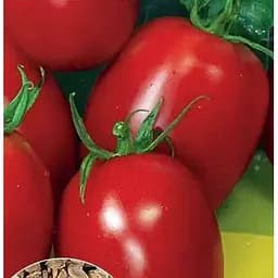 Насіння Весна на вагу Томат Новинка Придністров'я ціна за 2 г (13309)