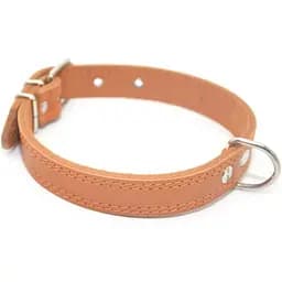 Нашийник для собак Zoo-hunt шкіряний подвійний рудий ОД 3,0/40-50 см