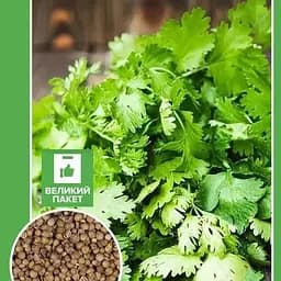 Насіння Agro-Market Коріандр Кінза Великий пакет 10 г (32656)