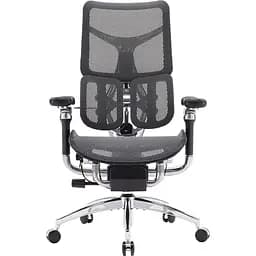 Кресло офисное Sihoo Doro S300 Mesh Dark Grey (S300-M201)