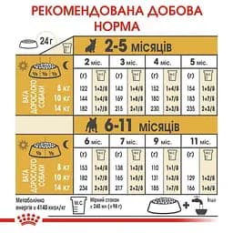 Сухий корм для цуценят породи Французький Бульдог Royal Canin French Bulldog Puppy, 10 кг (3990100) - мініатюра 6
