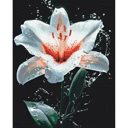 Картина по номерам Brushme Сияние лилии 40x50 см