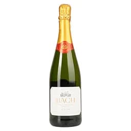 Вино игристое Bach Cava Extrisimo Brut, белое, брют, 0,75 л