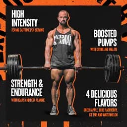 Передтренувальний комплекс Animal Fury, 30 порцій Ожина (495 грама) Universal Nutrition fit0025750 - мініатюра 2