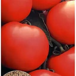 Насіння Весна на вагу Томат Ультраранній ціна за 2 г (11512)