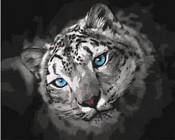 Набір для розпису по номерах Небесний погляд, 40x50 см, КНО4306