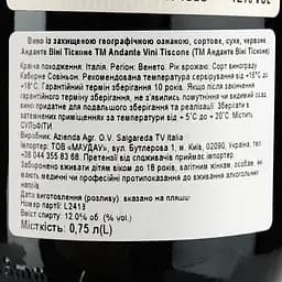 Вино Vini Tiscone Andante Cabernet Sauvignon Trevenezie, червоне, сухе, 0,75 л - мініатюра 3