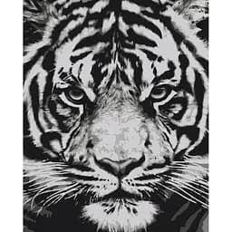 Картина за номерами на підрамнику Brushme Погляд звіра