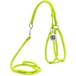 Шлей с поводком для собак Waudog Glamour кожаный с QR паспортом, круглый, салатовый