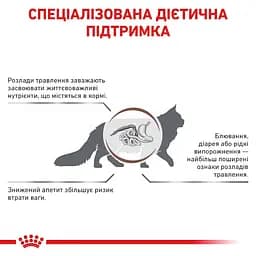 Корм для котів Royal Canin Gastrointestinal при порушенні травлення 4 кг (3905400) - мініатюра 2