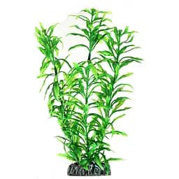Штучна рослина Hobby Heteranthera 25 см (51566)