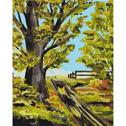 Картина по номерам Brushme Старый дуб © Bona 40x50 см