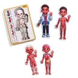 Дерев'яний пазл-вкладиш "Анатомія людини - хлопчик-3" Ubumblebees (ПСД262) PSD262 будова тіла