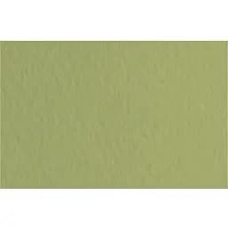 Папір для пастелі Fabriano Tiziano B2 (50х70см) №14 muschio 160г/м2 оливковий середнє зерно