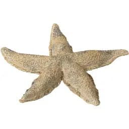 Статуетка J-line морська зірка порцелянова золота (40494)