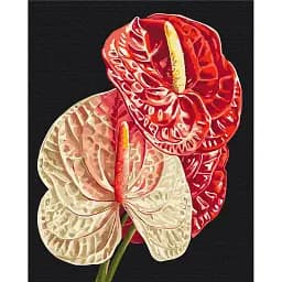 Картина по номерам Brushme Антуриум © Anastasiia Osmolovska 40x50 см