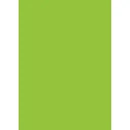 Папір для дизайну Folia Tintedpaper А4 (21x29.7см) №50 салатовий 130г/м2 без текстури
