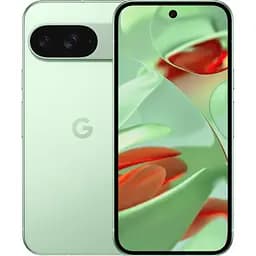 Смартфон Google Pixel 9 12/128Gb Wintergreen [114088]