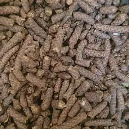 100 г береза сережки сушеные - свежий урожай