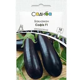 Баклажан Садиба Центр София F1 10 шт.