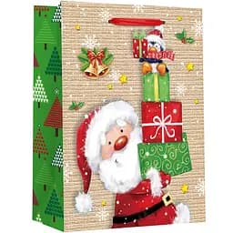 Пакет подарочный Malevaro Medium Xmas 17.8x9.8x22.9 см (22-9645-A-3)