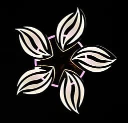 Люстра стельова LED Splendid Ray LK23/6, 160W, білий, хром, сучасний стиль з пультом, димер, 62см - мініатюра 5