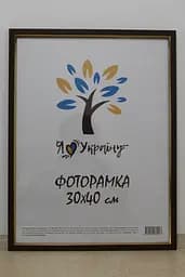 Фоторамка 30х40, світло-коричнева із золотою вставкою, 1511-5120, СКЛО + КАРТОН                                                                                          
