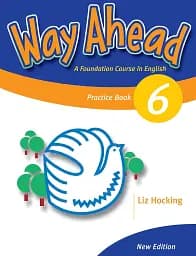 Way Ahead Revised 6 Grammar Practice