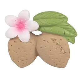 Прорезыватель Oli&Carol Миндаль Али, коричневый с зеленым