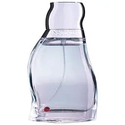 Парфюмированная вода для женщин Rasasi Instincts 50мл (MM30019)