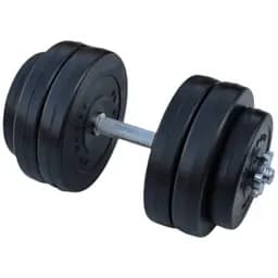 Гантель RN Sport розбірна з хромованим грифом 26 кг