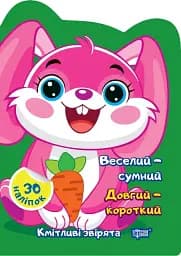 Веселий – сумний. Довгий – короткий