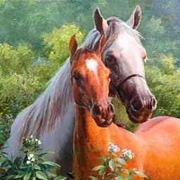 Алмазна мозаїка зі стразами на підрамнику Коні та 30*30 см