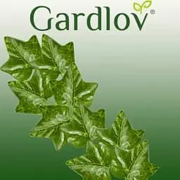 Штучний плющ Gardlov 19737 50 м - мініатюра 2