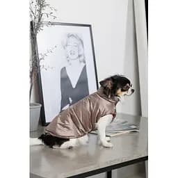 Жилет Pet Fashion Hardy для собак розмір M2 - мініатюра 6