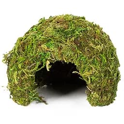 Схованка з моху Repti-Zoo Natural Mossy Dome S 11x10см ERS25S для тераріуму, рептилій і геконів, з живим мохом - мініатюра 3