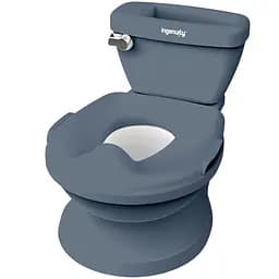 Детский горшок-унитаз Ingenuity My Size Potty Pro (11124.05)