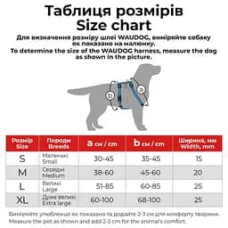 Шлея для собак анатомічна H-подібна Waudog Nylon з QR-паспортом Флеш Лого р.М (344-1083) - мініатюра 7