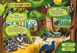 Велика ігрова енциклопедія Ранок Тварини лісу - Анастасія Толмачова (А892007У) - мініатюра 6