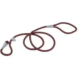 Нашийник-повідець ривковий Coastal k9 Explorer круглий