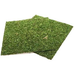 Фон з натурального моху Repti-Zoo Natural Moss Back & Bottom 30x30см 2 шт (NCM3030) для тераріуму - мініатюра 3