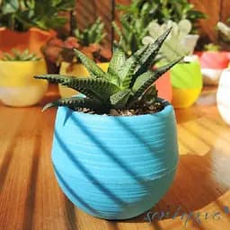 Горщик для квітів Serinova Colorful, 1.3 л, біло-сірий (ES05-KirliBeyaz) - мініатюра 9