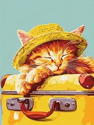 Набір для розпису по номерах Спляче кошеня, 30x40 см