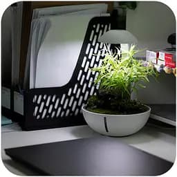Мінітераріум Chihiros Tiny Terrarium Egg з LED-підсвіткою та керуванням через застосунок - мініатюра 4