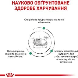 Сухий корм Royal Canin Satiety Weight Management для дорослих котів з надмірною вагою 1.5 кг (39430151) - мініатюра 3