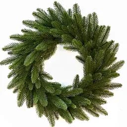 Вінок Квазар Санта преміум