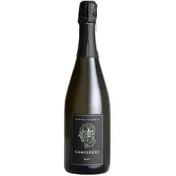 Вино игристое Camilucci Franciacorta Brut, белое, 12,5 %, 0,375 л
