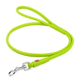 Повідець для собак шкіряний Waudog Glamour круглий XS Д 4 мм Дл 183 см (4820152568694)