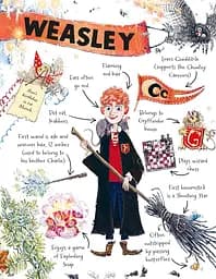 Pocket Potters: Ron Weasley - Ролінґ Джоан - мініатюра 5
