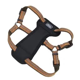 Шлея с нагрудником Coastal K9 Explorer Harness 20.4-45.3 кг светоотражающая для собак (36946_COG38)
